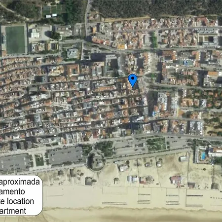 Carolino * Monte Gordo