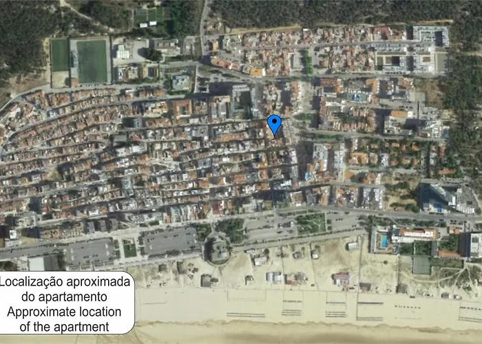 Carolino * Monte Gordo